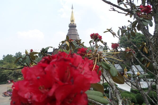 One day Doi Inthanon National Park & Trekking on Kew Mae Pan - Wachirathan Falls: Short Stop, Big Payoff