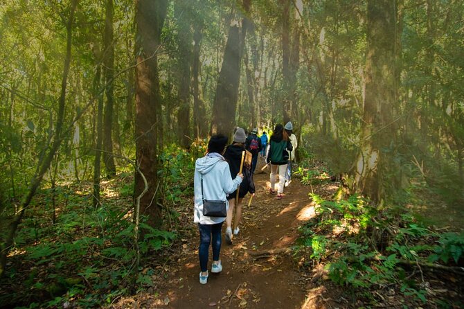 One day Doi Inthanon & Trekking at Pha Dok Siew - Wachirathan Waterfall Spray: the power stop before lunch