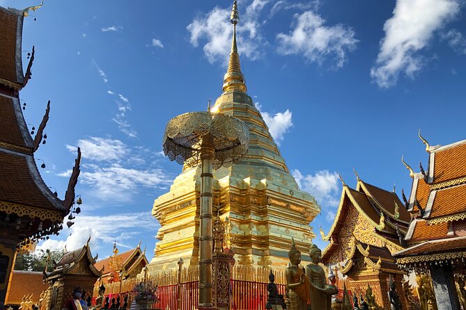 One Day Tour Doi Suthep Temple, Palad Temple, Orchid Farm, Longneck hill tribe village (Private tour) - Bai Orchid and Butterfly Farm: a soft reset between temples and culture