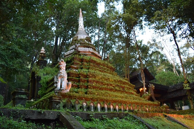 One Day Tour Doi Suthep Temple, Palad Temple, Orchid Farm, Longneck hill tribe village (Private tour) - Price and logistics: is $129.70 per person good value?