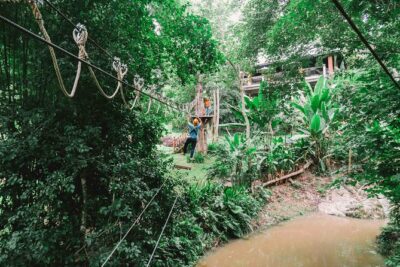 Phoenix Zipline Adventure Park – Chiang Mai Thrills - Zipline A (10 Platforms) vs Zipline B (24 Platforms) vs High-Rope (20 Platforms)