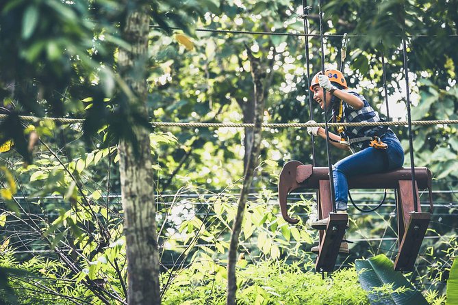Phoenix Zipline Adventure Park – Chiang Mai Thrills - The Cafe Break and That Train Ride Down