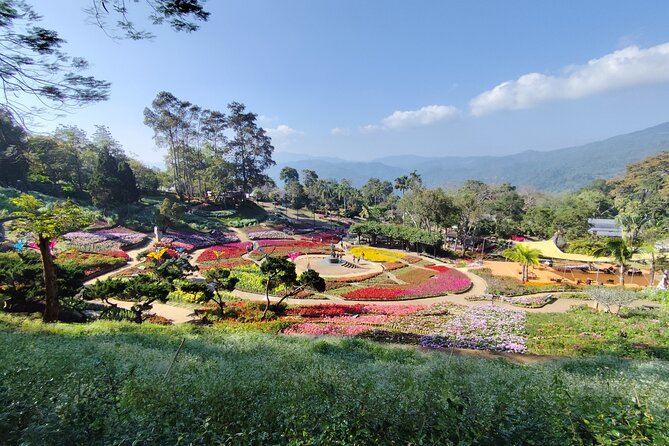 Private 3 Day Chiang Mai and Chiang Rai Tour - Singha Park tea time and Mae Khachan hot spring reset