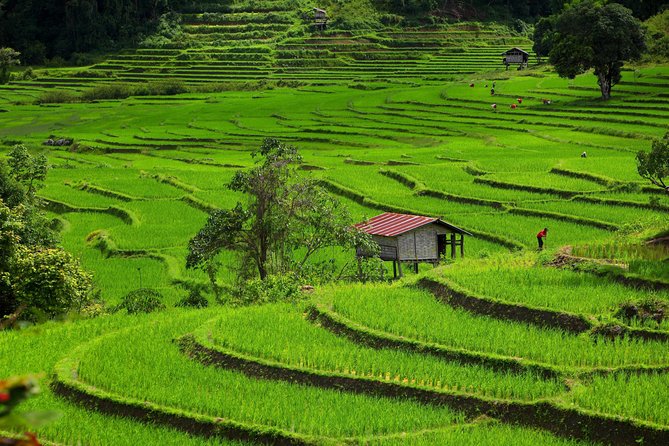 Private: 3 days 2 night trip: ChaingMai-Chaingrai- The Golden Triangle trip - Three days, three countries: why this Chiang Mai–Chiang Rai route works