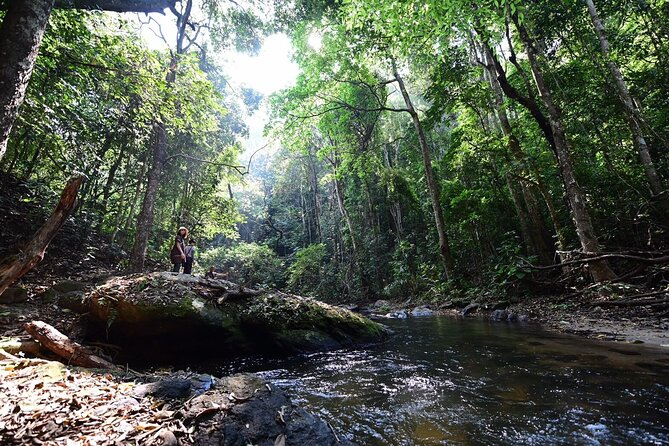 Private All-Inclusive Doi Inthanon & Pha Dok Siew Waterfall Tour - Ban Mae Klang Luang and the Karen village coffee stop