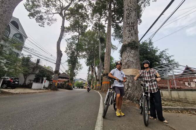 Private Chiang Mai Half-Day Bike Tour - Three Kings Monument and Wat Chedi Luang: Big Temple Energy Without the Full-Day Trudge