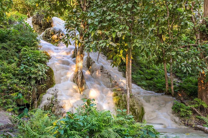 Private Tour: Bua Thong Sticky Waterfalls Tour - The Climb Plan: Starting at Level 3 and Working the Tiers
