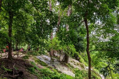Private Tour: Bua Thong Sticky Waterfalls Tour - Getting From Chiang Mai Hotels: Door-to-Door Pickup That Saves Headaches