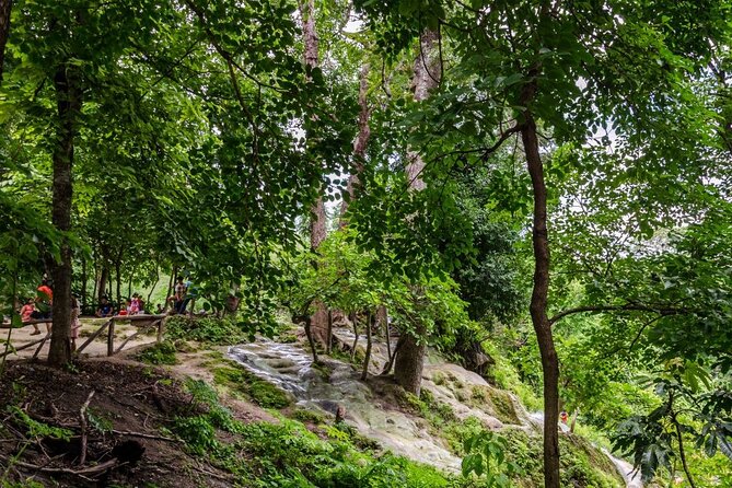 Private Tour: Bua Thong Sticky Waterfalls Tour - Getting From Chiang Mai Hotels: Door-to-Door Pickup That Saves Headaches