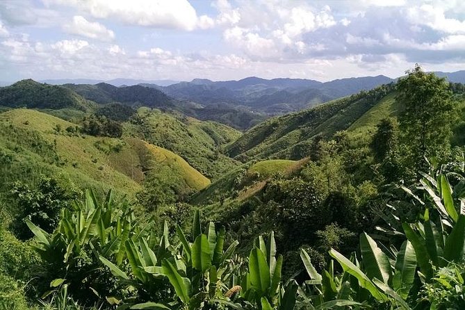 Private Tour: Chiang Rai Golden Triangle Day Trip from Chiang Mai - Practical Tips That Keep the Day Smooth