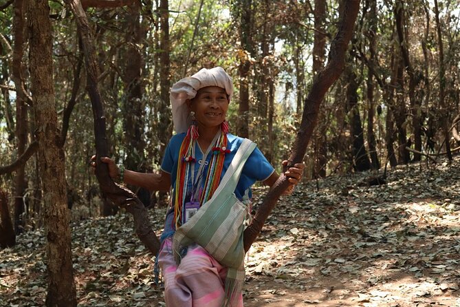 Private Tour Doi Inthanon And Trekking Nature Trail, Chiang Mai - Private, air-conditioned transport and the Austin touch