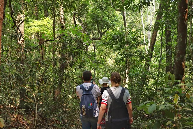 Private Tour Doi Inthanon And Trekking Nature Trail, Chiang Mai - Hmong Market stop: quick culture, Rayal connection, and local rhythm