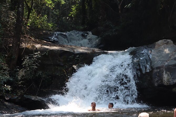 Private Tour Doi Inthanon And Trekking Nature Trail, Chiang Mai - Pha Dok Siew Nature Trail: a real walk, not just a stop