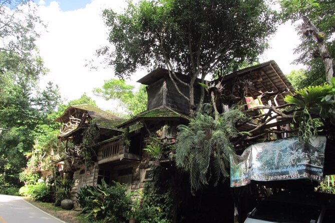 Private Tour in Chiang Mai Village Experience Nature - Stop 2: Mae Kampong Waterfall walk through 7 tiers and coffee fields