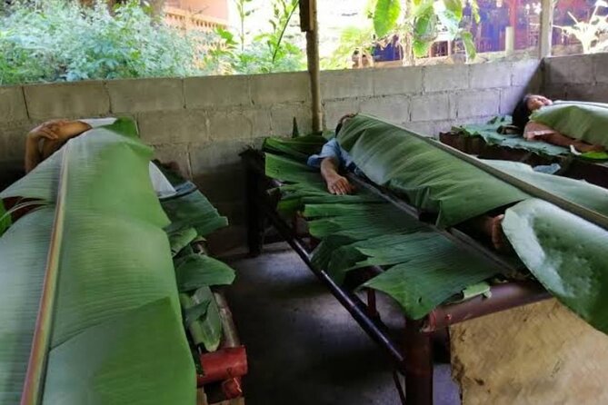 Private Tour in Chiang Mai Village Experience Nature - How the day flows from Chiang Mai: 7:30 start, about 8 hours