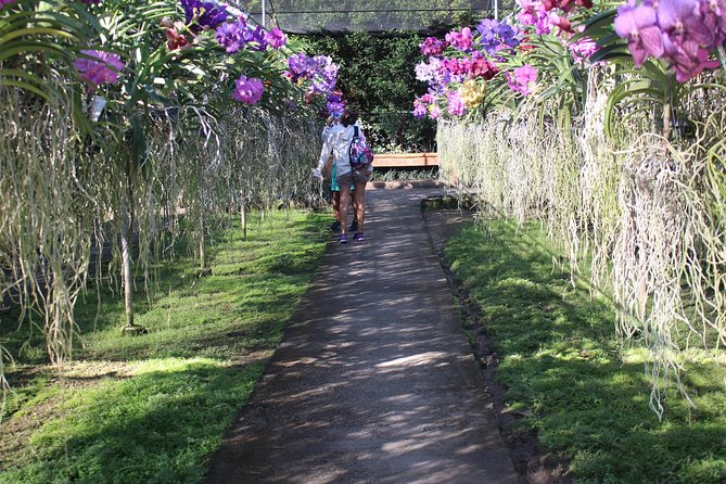 Private tour] Perfect day! Sticky waterfall + ChiangDao Cave + Wat BandenTemple - Stop 4: Bua Thong Sticky Waterfall (Nam Phu Chet Si) and the Real-Life Wet Parts