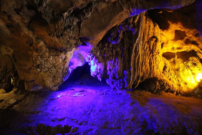 Private tour] Perfect day! Sticky waterfall + ChiangDao Cave + Wat BandenTemple - Stop 1: Bai Orchid and Butterfly Farm (The Pretty Warm-Up)