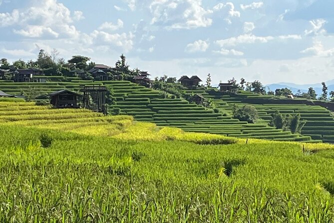 Private Tour to Chiang Mai Rice Terraces and National Park - Key highlights worth knowing