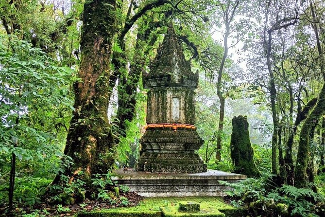 Private Tour to Chiang Mai Rice Terraces and National Park - Wachiratharn Waterfall: a focused stop, not a marathon