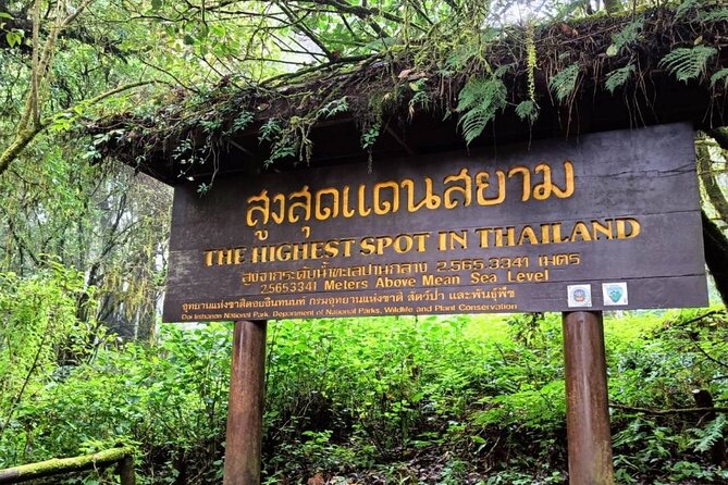 Private Tour to Chiang Mai Rice Terraces and National Park - The highest point of Thailand: Ang Ga trail and viewpoint time