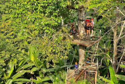 Sky Hawk Zipline Experience in Chiang Mai - What the Course Includes: Platforms, Ziplines, Bridges, and Abseiling