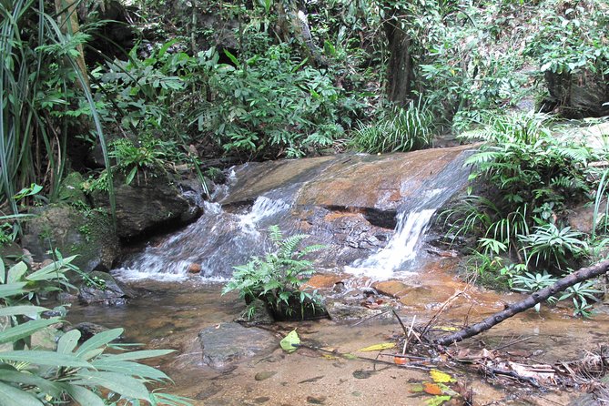 Small Group : Trekking Trip in Chiang Mai (Doi Suthep Area) with Market Tour - Morning Fresh Market sets the tone in Chiang Mai