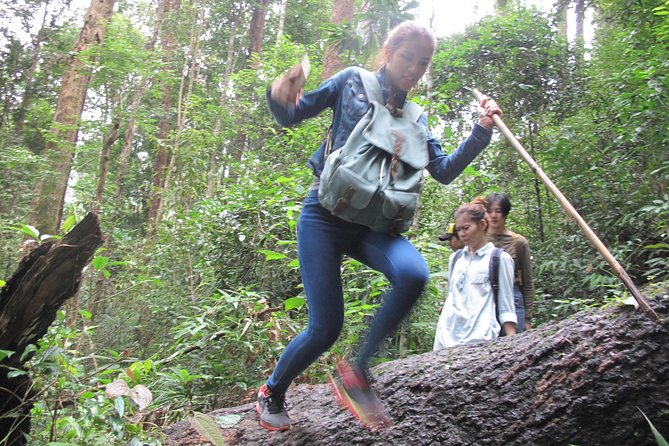 Small Group : Trekking Trip in Chiang Mai (Doi Suthep Area) with Market Tour - Pui National Park trekking: forest details and real bird talk