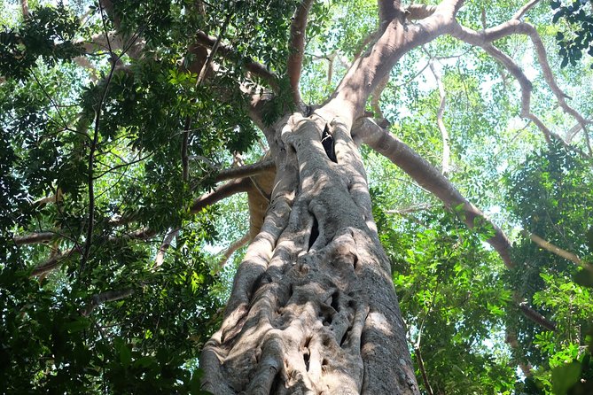 Small Group : Trekking Trip in Chiang Mai (Doi Suthep Area) with Market Tour - Small-group travel with a ranger and driver you can trust