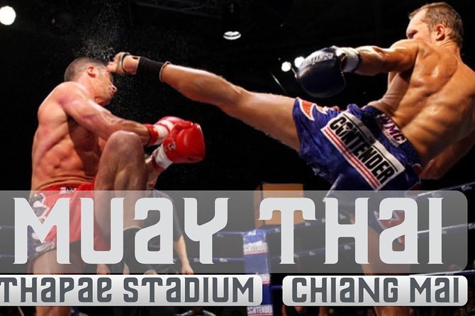 Thapae Stadium Muay Thai Boxing Experience – Chiang Mai - Key highlights worth knowing