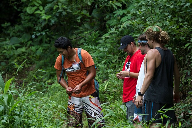 Trek to a Jungle Waterfall - Entering Chiang Mai’s Jungle With a Real Waterfall Goal