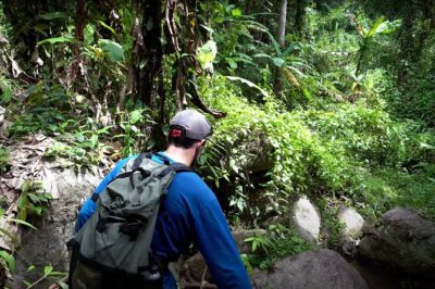 Trek to a Jungle Waterfall - The 1.6 km Jungle Trek: What You’ll Actually Be Doing