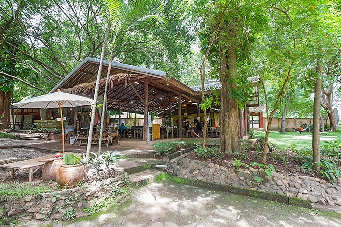 Trek to a Jungle Waterfall - Timing, Weather, and Booking Confidence