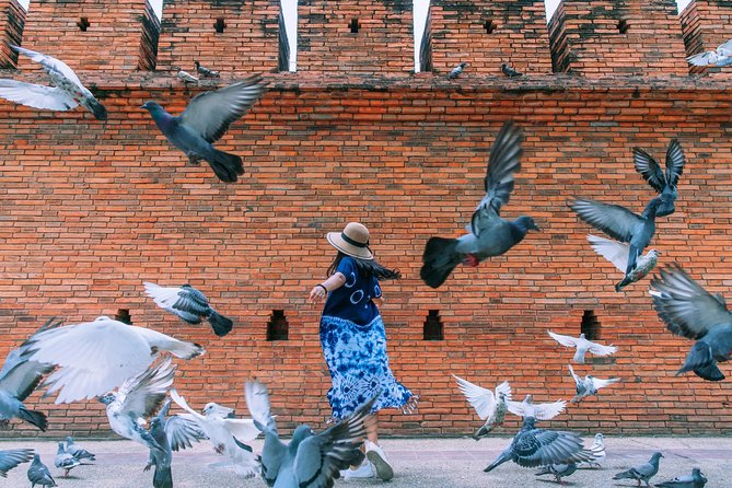 ️ Chiang Mai Instagram Tour: Most Famous Spots (Private and All-Inclusive) - Nature and Wider Chiang Mai: Doi Suthep–Pui and Doi Inthanon Options